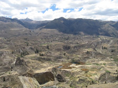 Canyon del Colca - cultures en terrasses