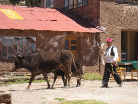 Lac Titicaca - Taquile