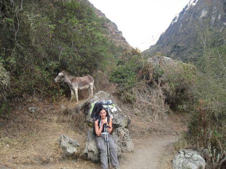 Camino Inca - Col de la femme morte
