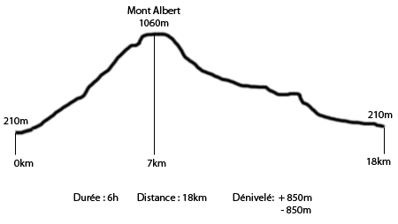 Parc de Gaspésie - profil tour du Mont Albert