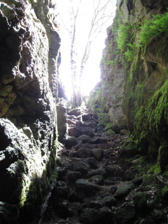 Etna - grotte de lave